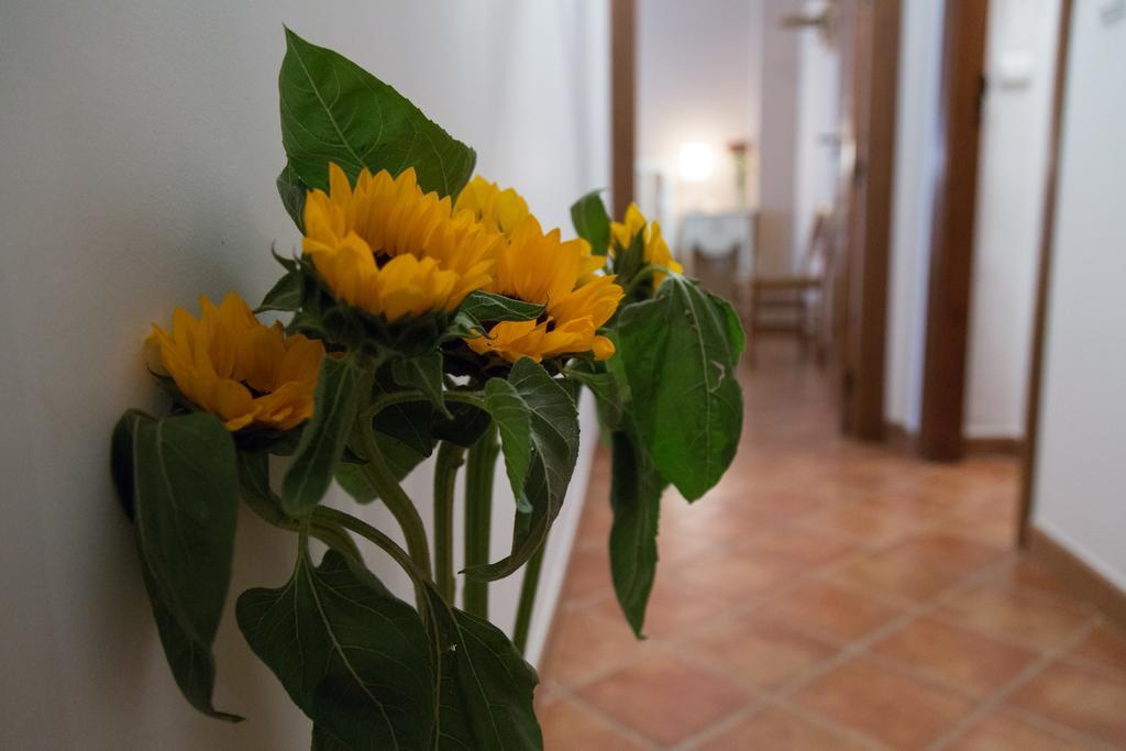Casa Rural Migolla 奥苏纳 外观 照片
